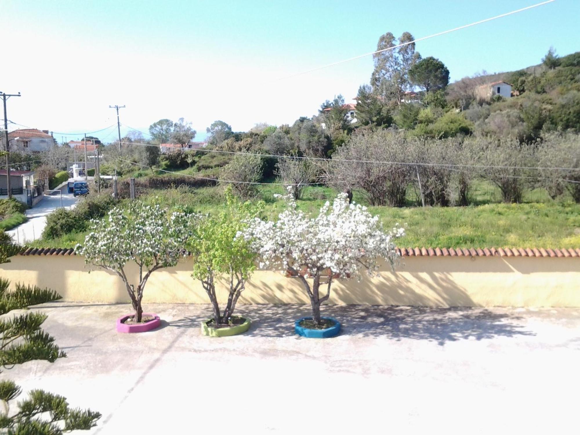 Appartamento Harmony House Agia Paraskevi  Esterno foto